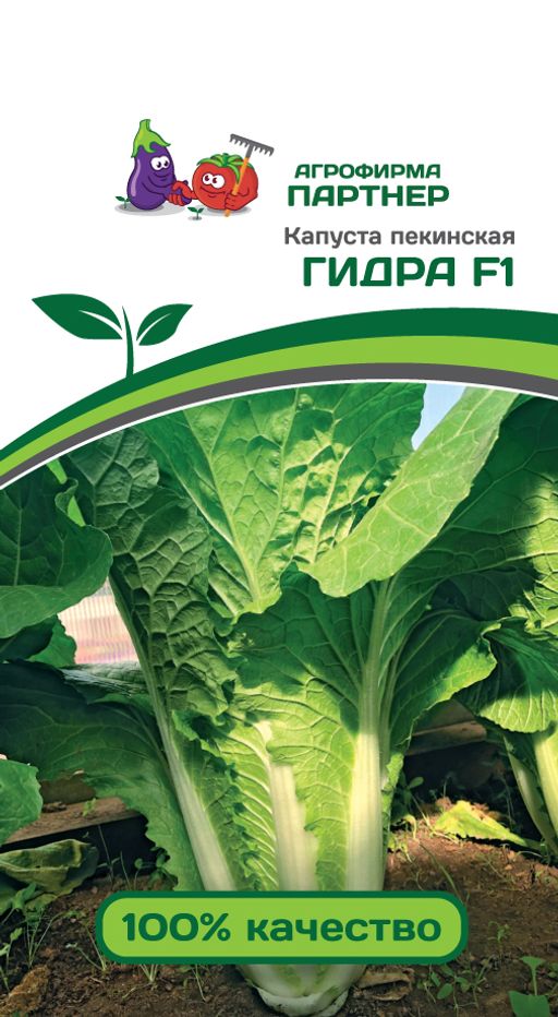 Капуста пекинская Гидра