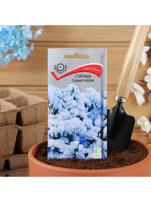 Набор семян Статица "Суприм голубая", 5 шт.
