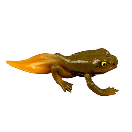 Обучающий набор Этапы развития лягушки 5 фигурок - Simaland фото 6