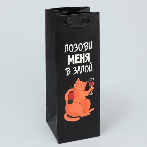 Цена за 2 шт. Пакет подарочный, упаковка «В запой», 9×25×8.5 см