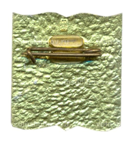 Значок Профсоюз работников Просвещения Высшей школы и научных учреждений СССР