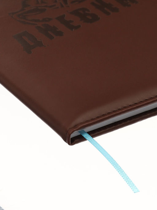 Дневник школьный 1-11 класс, лассе, обложка искуственная кожа коричневая, Рыцарь