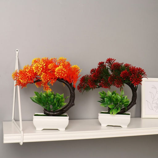 Бонсай в горшке «Селагинелла африканская», 10×20 см, МИКС