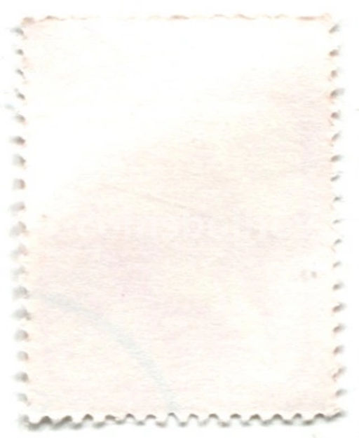 Марка Кубинский соленодон 1981 год Бразилия