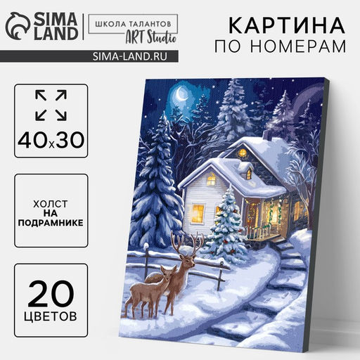 Картина по номерам на новый год на холсте с подрамником «Зимняя ночь», 40×30 см
