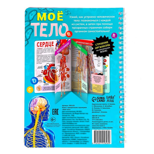 Энциклопедия с прозрачными страницами «Моё тело», 32 стр.