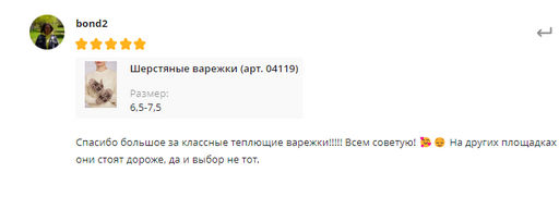 Шерстяные варежки (арт. 04119) - Тод оймс ххк фото 5