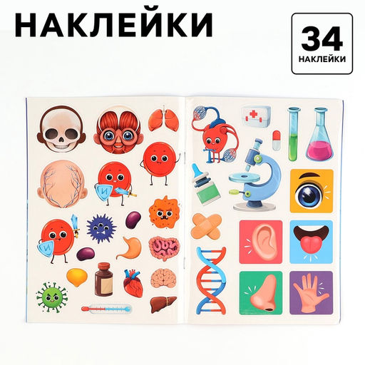 Обучающий набор Тело человека, рамка-вкладка и книга с наклейками - Лесная мастерская фото 4