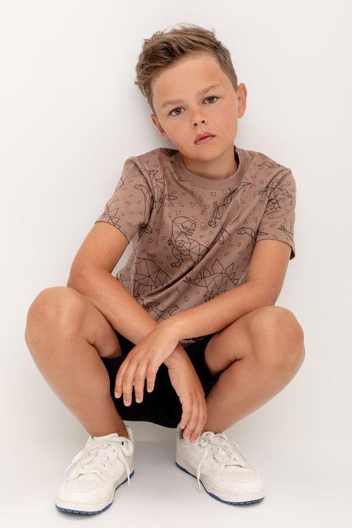 КР 302160/холодный какао,динозавры фуфайка для мал