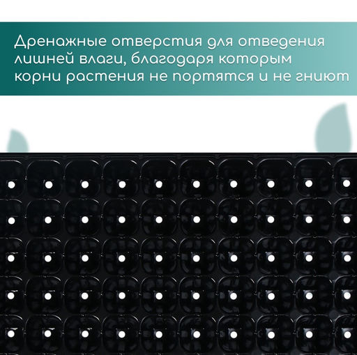 Цена за 3 шт. Кассета для рассады, на 72 ячейки, по 50 мл, из пластика, чёрная, 54×28×4 см, Greengo