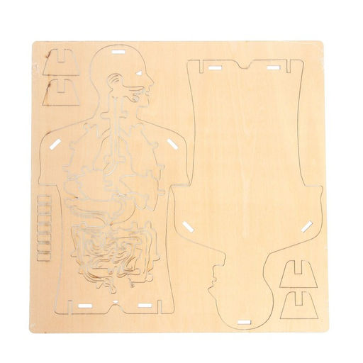 Набор для опытов Строение тела, 24 элемента - Эврики фото 4