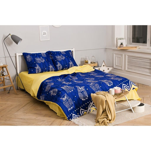 Постельное бельё Этель 2 сп Ушастые совы (вид 3) 175 х 215 см, 200 х 220 см, 70 х 70 - 2 шт фото 22