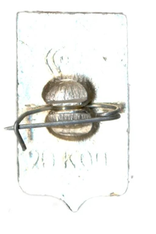 Значок Ростов