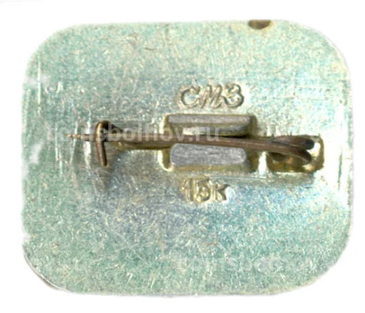 Значок Смоленск  выставочный зал