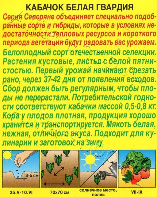 Кабачок Белая гвардия (белоплодный) 1г (Аэлита)