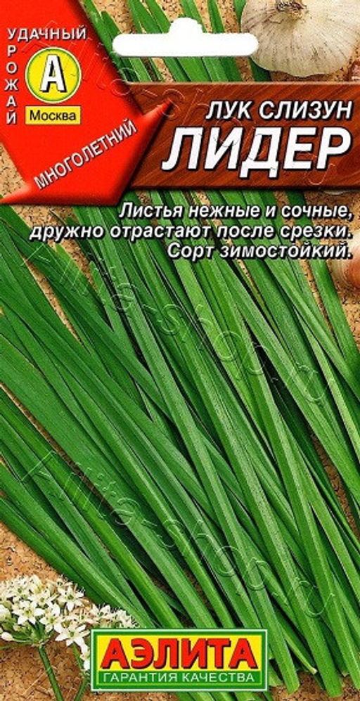 0573A Лук слизун Лидер 0,5гр