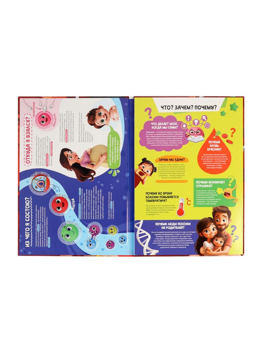 Книга с окошками «Как устроен человек?»