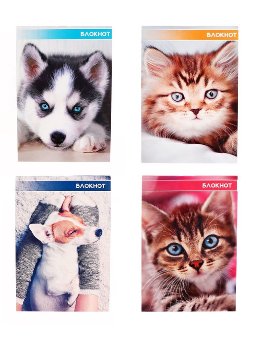 Цена за 20 шт. Блокнот А6, 40 листов в клетку на скрепке Котята и щенята, обложка мелованный картон, МИКС