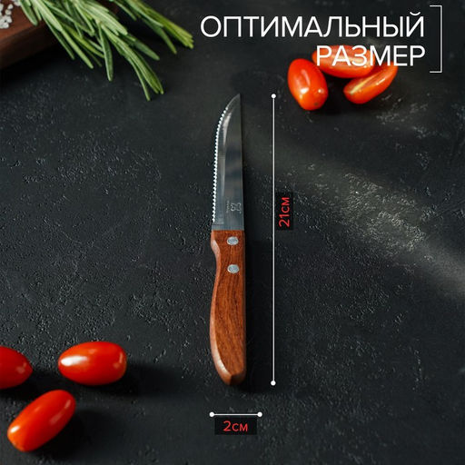 Цена за 2 шт. Нож кухонный Доляна «Эльбрус», зубчатое лезвие 11,5 см