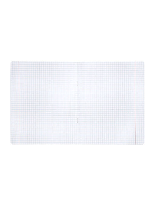 Комплект 12 тетрадей, 48 листов, клетка, 60гр, 4 цвета, пластиковая обложка