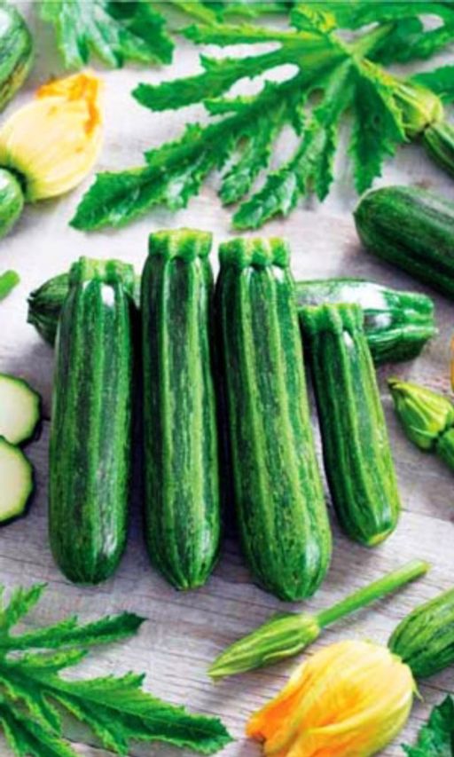 Кабачок СУДАРЬ  Популярный! Великолепный вкус! Интенсивное плодоношение! - Уральский дачник фото 2