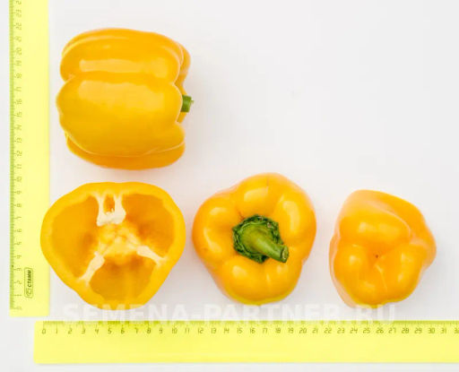 Перец сладкий Тавиньяно - Партнер фото 5