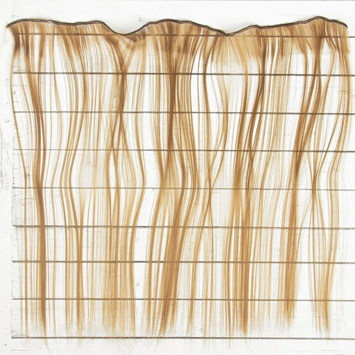 Волосы-тресс для кукол Прямые длина волос: 40 см, ширина: 50 см, №18 - Школа талантов фото 3