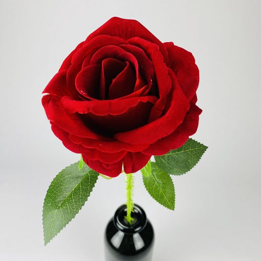 Роза бархат с шипами 65см, бутон 10x10см