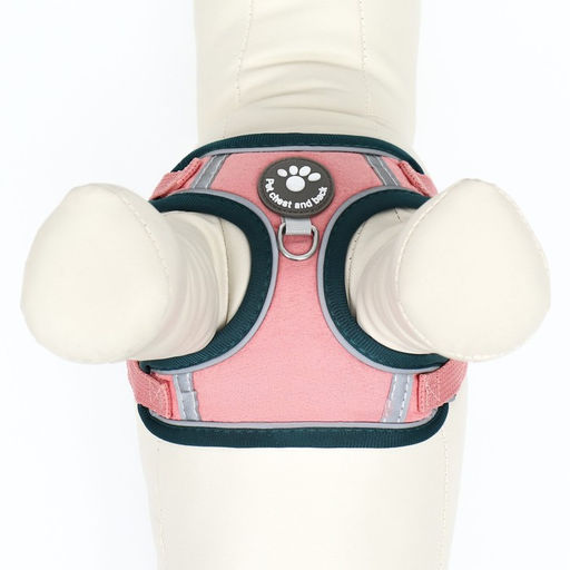 Комплект Sport+, XS, поводок 120 x 1,5 см, ОШ 37-39 см, ОГ 41-46 см, вес животного 4-6 кг, розовый - Пижон фото 7