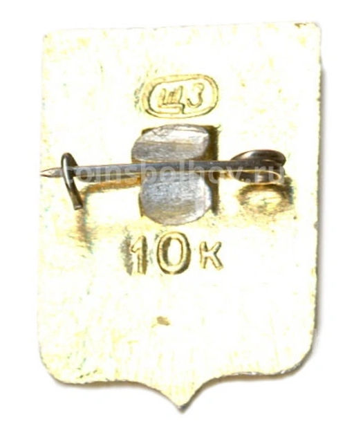 Значок Владимир