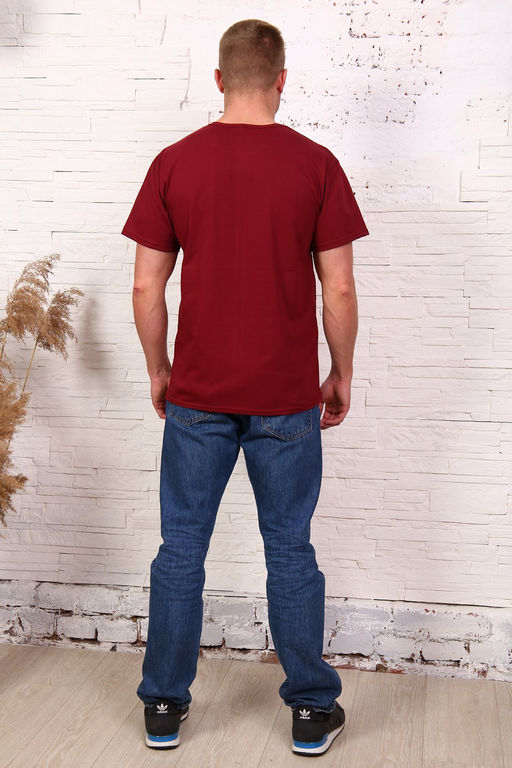 1113 Футболка мужская однотонная