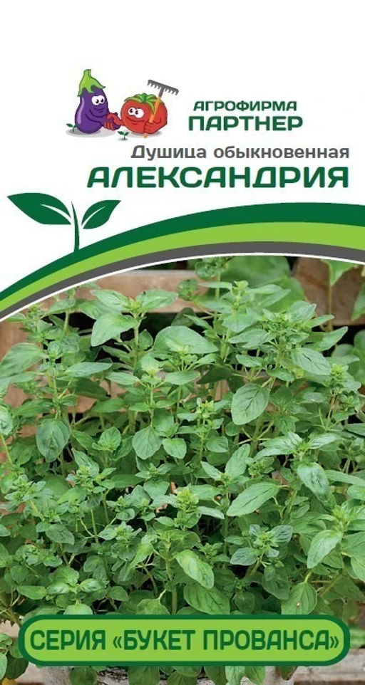 Душица обыкновенная Александрия