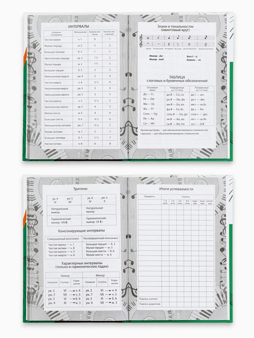 Дневник для музыкальной школы, в твердой обложке, 40 л. "Винил"
