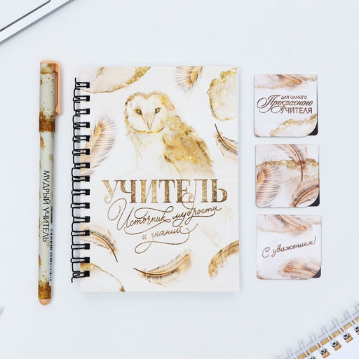 Подарочный набор, блокнот А6, 60 л., магнитные закладки, ручка «Учитель»