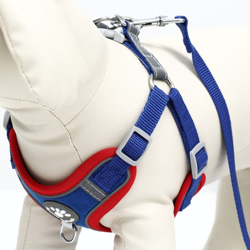 Комплект Sport+, L, поводок 120 x 1,5 см, ОШ 49-56 см, ОГ 56-68 см, вес животного 20-28 кг, синий 9 - Пижон фото 6