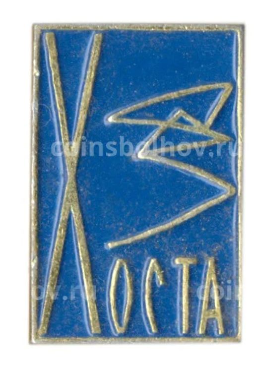 Значок Хоста