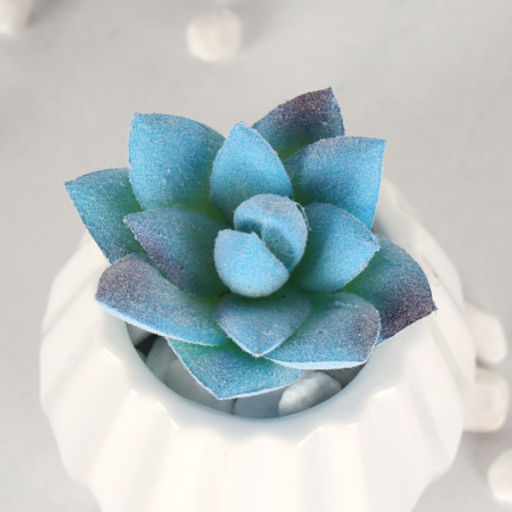 Суккулент искусственный 5,5х6,5 см / GN141 /уп 100/ - Галеонтрейд фото 4