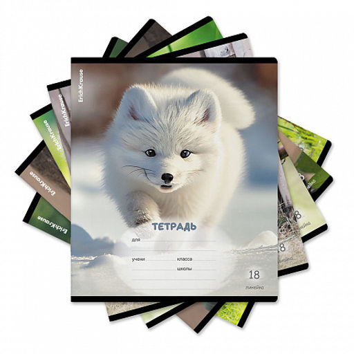 Цена за 10 шт. Тетрадь школьная ученическая ErichKrause Пушистики, 18 листов, линейка (в плёнке по 10 шт.)_MIX-PACK