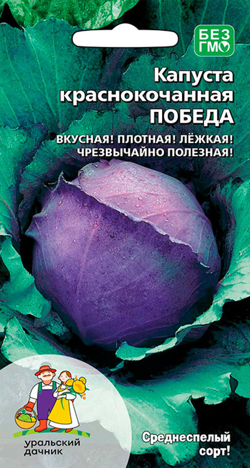 Капуста краснокочанная ПОБЕДА Вкусная! Плотная! Лёжкая! Чрезвычайно полезная!