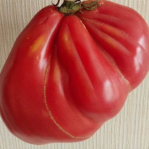 7133T Томат Ребелпик 5шт