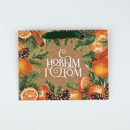 Цена за 2 шт. Пакет подарочный новогодний крафтовый «С Новым годом», MS 18×23×10 см