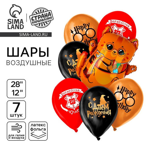 Воздушные шары, букет «С днём рождения. Котик-волшебник», набор 7 шт.