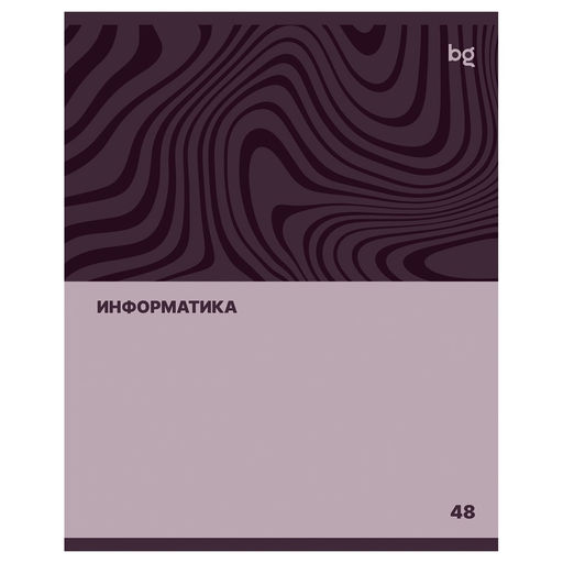 Цена за 2 шт. Тетрадь 48л. SINGLE COLOUR "Информатика" (ТПск48 63786, BG)