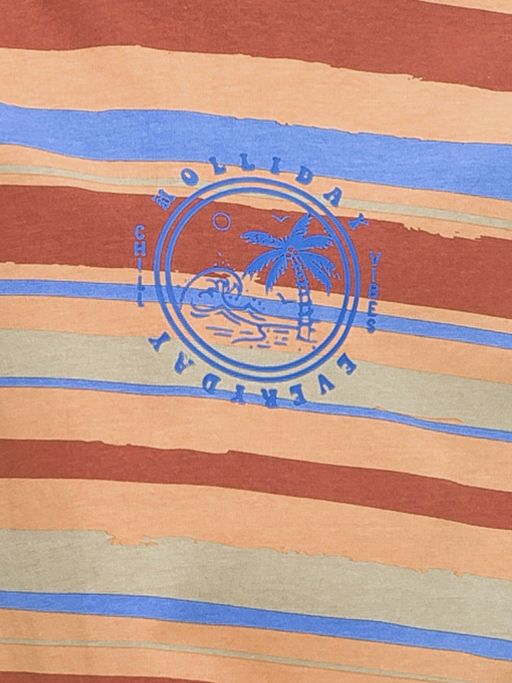 Уценка Pelican BFVV4321/1 майка для мальчиков  фото 4