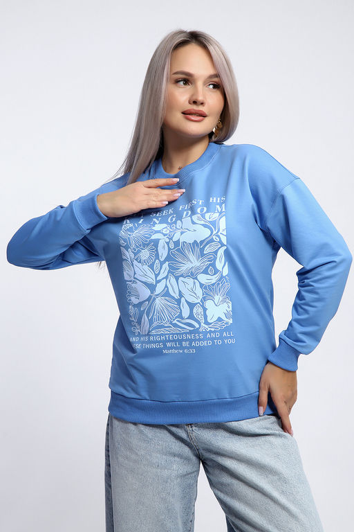 Толстовка 80047