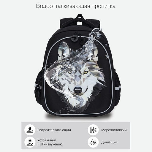 RAz-087-3 new Рюкзак школьный с картхолдером на держателе - Grizzly фото 46