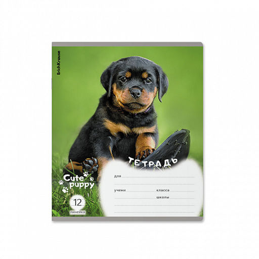 Цена за 10 шт. Тетрадь школьная ученическая ErichKrause Щенки, 12 листов, линейка (в плёнке по 10 шт.)_MIX-PACK  фото 5