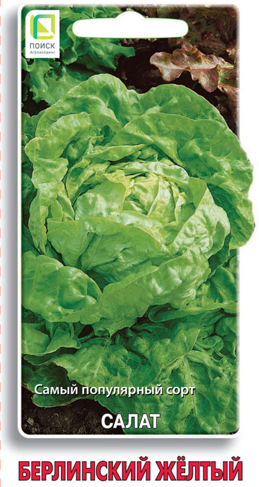 Салат Берлинский жёлтый (ЦВ) 1гр.