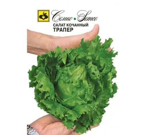 Салат кочанный Трапер 1г (Семко)