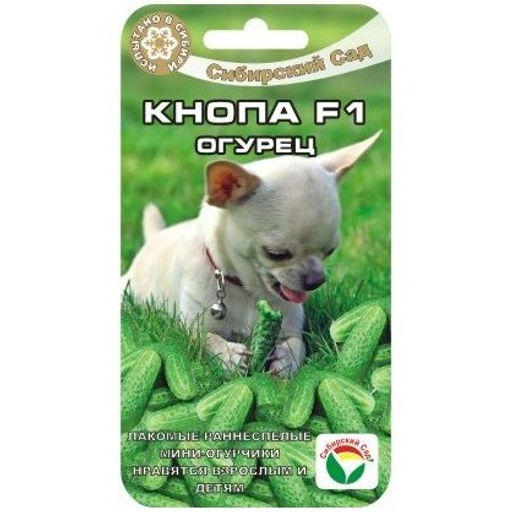 Огурец Кнопа F1 7шт. (Сибирский сад)